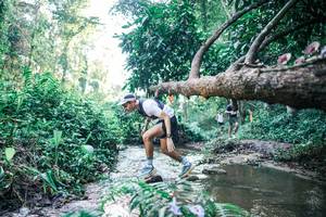 BIB: 
                            <button type="button" onclick="openModal(25430628)" class="btn btn-primary btn-sm float-right btn-popup" data-toggle="modal" data-target=".modal-high-quality">
                        <i class="fas fa-shopping-cart"></i> Add to Cart
                    </button>
                                            <button type="button" onclick="isThisMe(25430628, true)" class="btn btn-success btn-sm float-right btn-popup btn-isme hidden" data-toggle="tooltip" data-placement="bottom" title="นี่คือรูปของคุณใช่ไหม คลิกที่นี่เพื่อเอาเข้าอัลบั้ม">
                        <i class="fas fa-plus"></i> Add to album
                    </button>
                    <button type="button" onclick="isThisMe(25430628, false)" class="btn btn-warning btn-sm float-right btn-popup btn-isnotme hidden">
                        <i class="fas fa-ban"></i> Remove from album
                    </button>